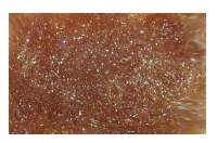 Даббинг Hends Microflash Dubbing MFD-33 Фотографія