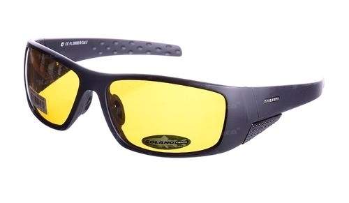 Окуляри Solano FL20020В Фотографія