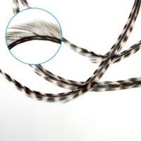 Перья седла петуха Whiting Cock Feathers фотография