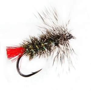 Суха мушка Red Tag Фотографія