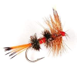 Сухая мушка Royal Coachman  фотография
