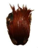 Скальп петуха Hends Cock Capes CC-33 фотография