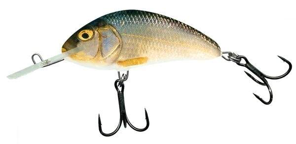 Воблер Salmo Hornet H9F RR фотография