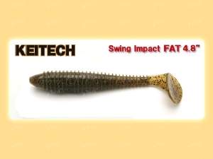 Силикон Reins Swamp Micro 2.8" 009 Green Pumpkin Allstars фотография