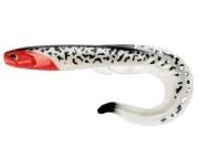 Силикон Fishup RAM Grub 7.0" 306-Red Head 1шт фотография