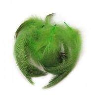 Пір'я селезня Strike Mallard Duck - Chartreuse (салатні) Фотографія