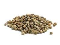 Насіння конопель Rocket Baits 0.8 кг Фотографія