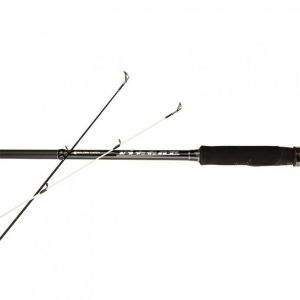 Спиннинг Golden Catch Vittor фотография