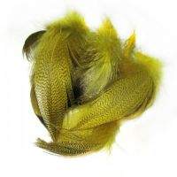 Перья селезня Strike Mallard Duck фотография