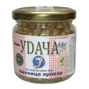 Варена пшениця Удача Фотографія