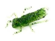 Силикон Fishup Dragonfly 0.75" 042-Flo Watermelon Seed 12шт фотография