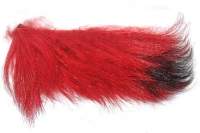 Мех зимней козы Красный фотография