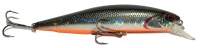 Воблер DUO Realis Jerk Bait 100Sp D81 фотография