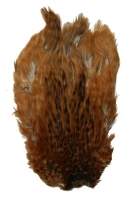 Скальп курки Hends Hen Capes CH-351 Фотографія