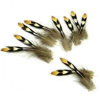 Пір'я джунглевого півня Jungle Strike Cock (довгі) Фотографія