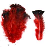 Перо индюка покровное Strike Blanket Turkey Feathers Red фотография