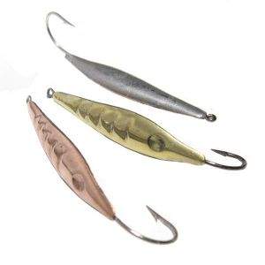 Блешня прямовисна РВС Успіх Фотографія