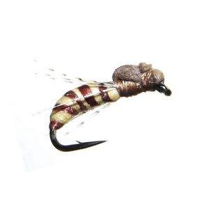 Суха мушка Wasp Brown Фотографія