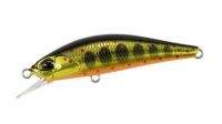 Воблер DUO Spearhead Ryuki 50S MCC4084 Gold Yamame Фотографія