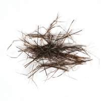 Ніжки з борідок пера фазана Daddy Legs Фотографія