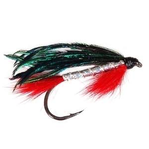 Стример Alexandra Silver фотография