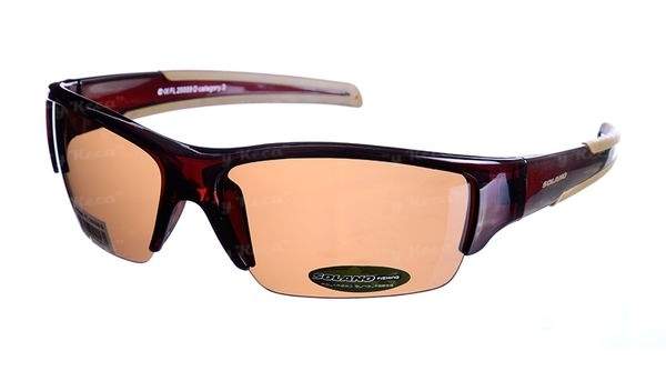 Очки Solano FL20009D фотография