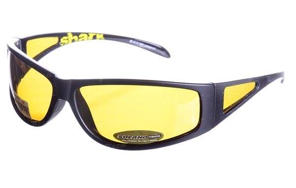 Очки Solano FL1009 фотография