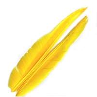 Гусячі біоти Strike Goose Biots Yellow (жовтий) Фотографія