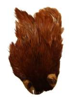 Скальп курки Hends Hen Capes CH-33 Фотографія