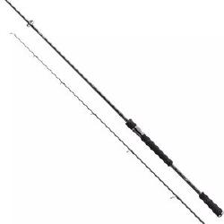 Спиннинг Daiwa Prorex XR Spin 2.4м 10-30г фотография