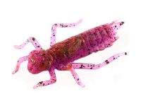 Силікон Fishup Dragonfly 1.2" 016-Lox-Green-Black 10шт Фотографія