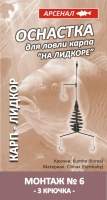 Оснастка для ловлі коропа Арсенал № 6 50гр Фотографія