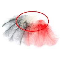 Перья утки CDC Hends фотография