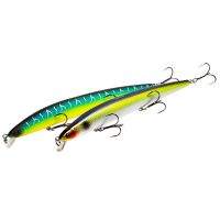 тсуеки санитар Фотографія