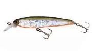 Воблер Yo-Zuri 3DS Minnow 100Sp F1157-HTS фотография
