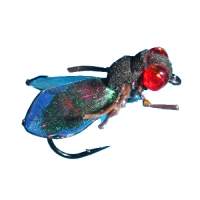 Суха мушка Meat Fly Фотографія