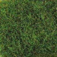 Даббинг Sybai Fine Flash -Gold Peacock Фотографія