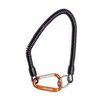 Ретривер Brain с карабином фотография