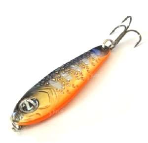 Блешня Pontoon21 Paco 10.5 м G46-020 Фотографія