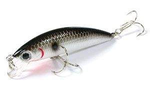 Воблер Lucky Craft Humpback minnow 50Sp #077 Or Tennessee 3.2g 0.3m фотография
