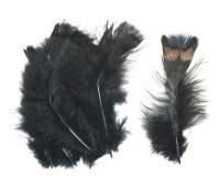 Перо индюка покровное Strike Blanket Turkey Feathers Black  фотография