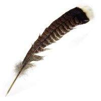 Перо индюка хвостовое Strike Turkey Tail Feathers Brown (коричневый) фотография