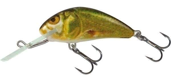 Воблер Salmo Hornet H3F GSM Фотографія