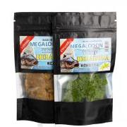 Тісто готове Megalodon Herabuna Фотографія