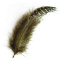 Пір'я цесарки Strike GF-Ol Guinea Feathers Olive Фотографія