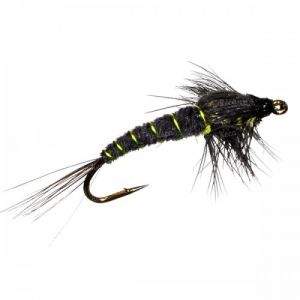 Нимфа Montana NM01-12 фотография