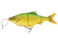 Силікон Savage Gear 3D Line Thru Roach Фотографія