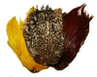 Скальп петуха Hends Cock Capes фотография