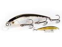 Воблер Bear King Rerange 110Sp P Фотографія