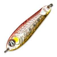 Блешня Pontoon21 Paco 10.5 м S31-000 Фотографія